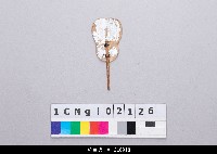 藏品(布袋戲道具-扇子)的圖片